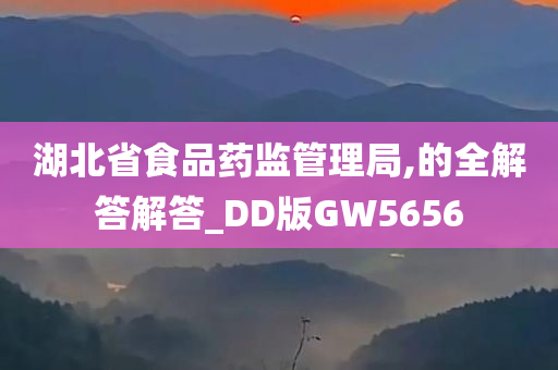 湖北省食品药监管理局,的全解答解答_DD版GW5656