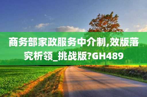 商务部家政服务中介制,效版落究析领_挑战版?GH489