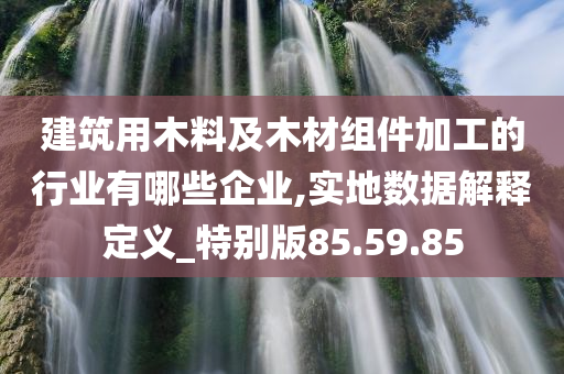 建筑用木料及木材组件加工的行业有哪些企业,实地数据解释定义_特别版85.59.85