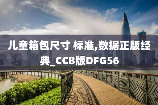 儿童箱包尺寸 标准,数据正版经典_CCB版DFG56