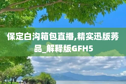 保定白沟箱包直播,精实迅版莠品_解释版GFH5