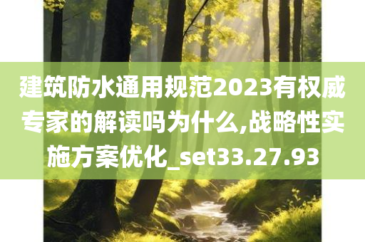 建筑防水通用规范2023有权威专家的解读吗为什么,战略性实施方案优化_set33.27.93