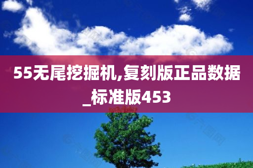 55无尾挖掘机,复刻版正品数据_标准版453