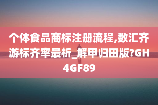 个体食品商标注册流程,数汇齐游标齐率最析_解甲归田版?GH4GF89