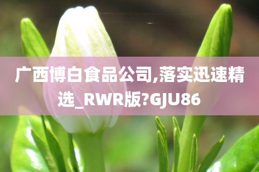 广西博白食品公司,落实迅速精选_RWR版?GJU86