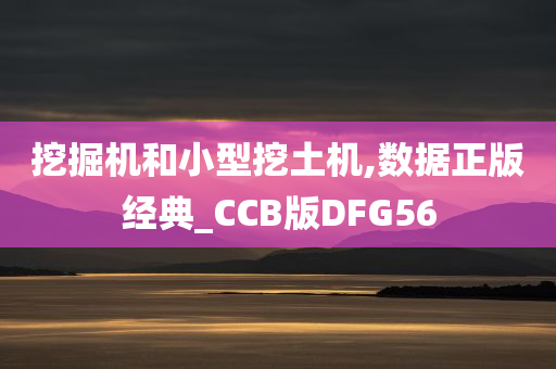 挖掘机和小型挖土机,数据正版经典_CCB版DFG56