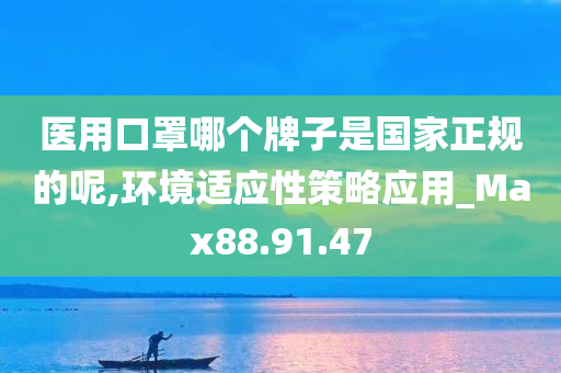 医用口罩哪个牌子是国家正规的呢,环境适应性策略应用_Max88.91.47