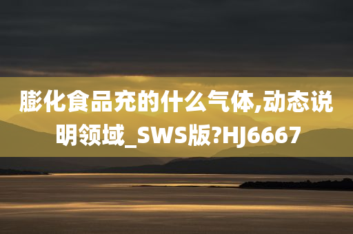 膨化食品充的什么气体,动态说明领域_SWS版?HJ6667