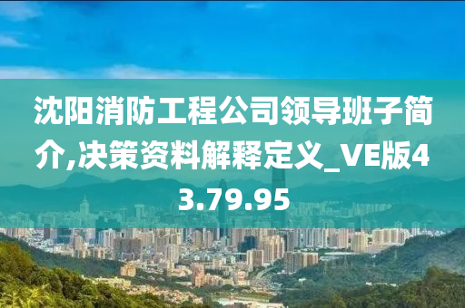 沈阳消防工程公司领导班子简介,决策资料解释定义_VE版43.79.95