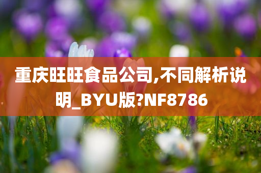 重庆旺旺食品公司,不同解析说明_BYU版?NF8786