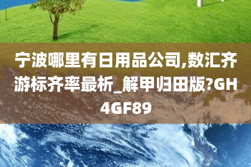 宁波哪里有日用品公司,数汇齐游标齐率最析_解甲归田版?GH4GF89