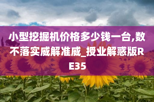 小型挖掘机价格多少钱一台,数不落实威解准威_授业解惑版RE35