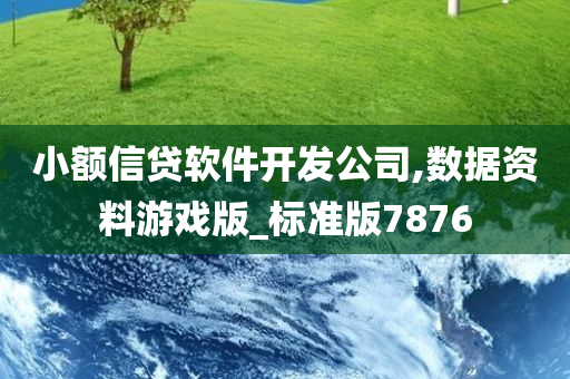 小额信贷软件开发公司,数据资料游戏版_标准版7876