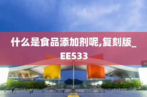 什么是食品添加剂呢,复刻版_EE533