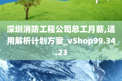 深圳消防工程公司总工月薪,适用解析计划方案_vShop99.34.23