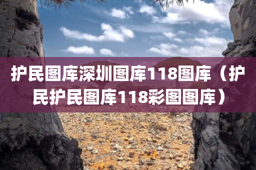 护民图库深圳图库118图库（护民护民图库118彩图图库）