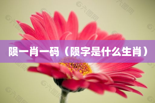 陨一肖一码（陨字是什么生肖）