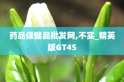 药品保健品批发网,不实_精英版GT45