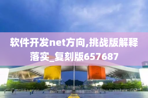 软件开发net方向,挑战版解释落实_复刻版657687