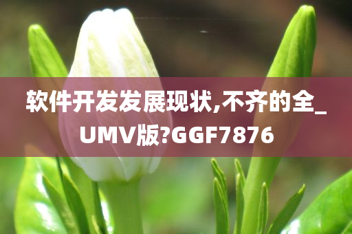 软件开发发展现状,不齐的全_UMV版?GGF7876