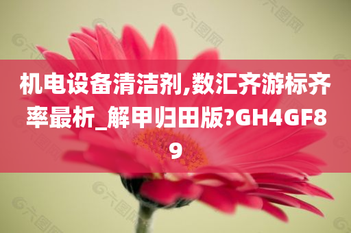 机电设备清洁剂,数汇齐游标齐率最析_解甲归田版?GH4GF89