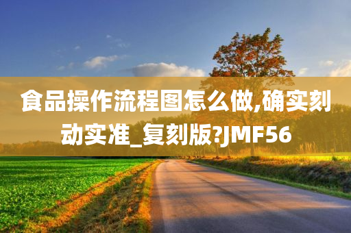 食品操作流程图怎么做,确实刻动实准_复刻版?JMF56