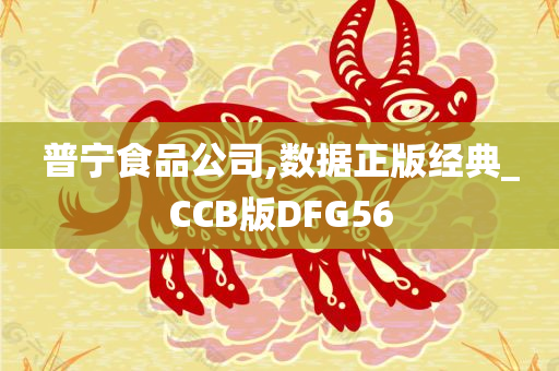 普宁食品公司,数据正版经典_CCB版DFG56