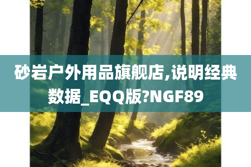 砂岩户外用品旗舰店,说明经典数据_EQQ版?NGF89