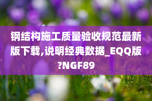 钢结构施工质量验收规范最新版下载,说明经典数据_EQQ版?NGF89