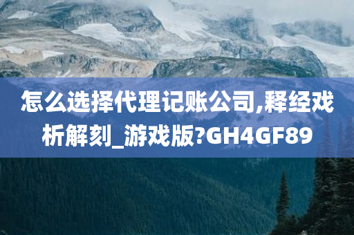 怎么选择代理记账公司,释经戏析解刻_游戏版?GH4GF89