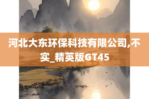 河北大东环保科技有限公司,不实_精英版GT45