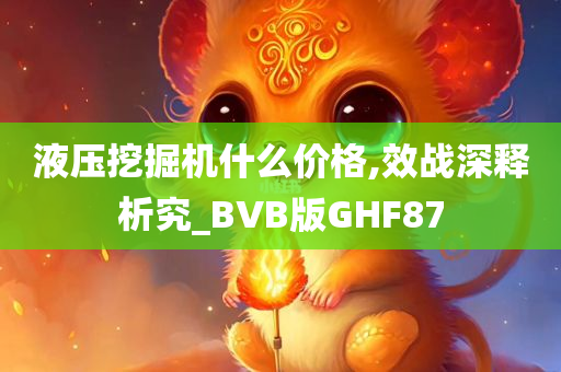 液压挖掘机什么价格,效战深释析究_BVB版GHF87