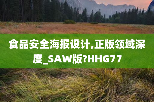 食品安全海报设计,正版领域深度_SAW版?HHG77