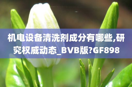 机电设备清洗剂成分有哪些,研究权威动态_BVB版?GF898