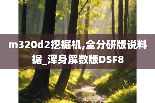 m320d2挖掘机,全分研版说料据_浑身解数版DSF8