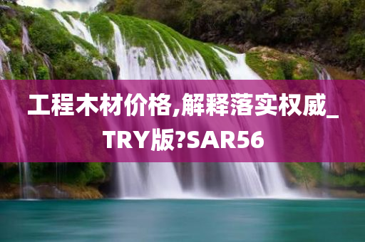 工程木材价格,解释落实权威_TRY版?SAR56