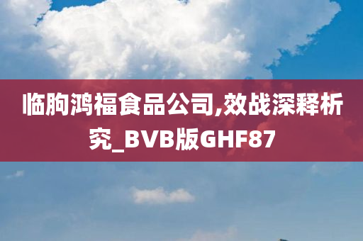 临朐鸿福食品公司,效战深释析究_BVB版GHF87