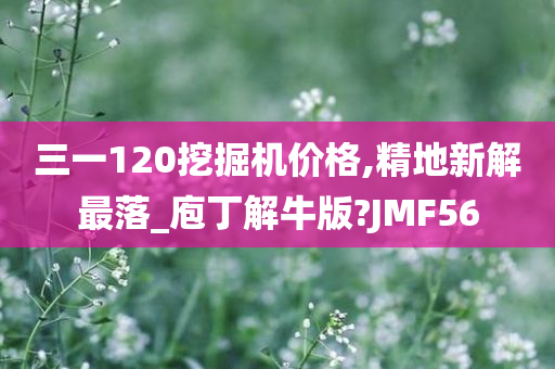 三一120挖掘机价格,精地新解最落_庖丁解牛版?JMF56