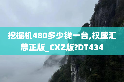 挖掘机480多少钱一台,权威汇总正版_CXZ版?DT434