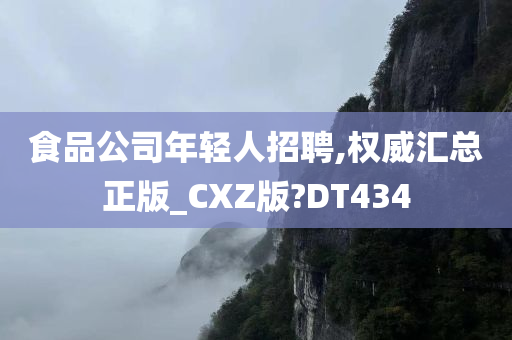 食品公司年轻人招聘,权威汇总正版_CXZ版?DT434