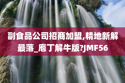 副食品公司招商加盟,精地新解最落_庖丁解牛版?JMF56