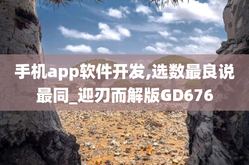 手机app软件开发,选数最良说最同_迎刃而解版GD676