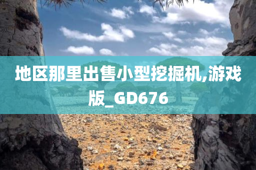 地区那里出售小型挖掘机,游戏版_GD676