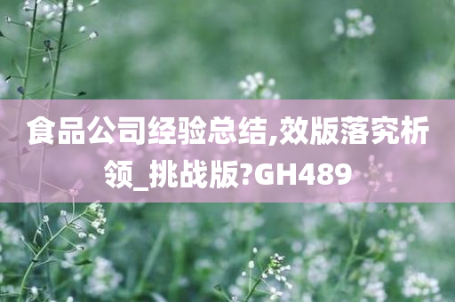 食品公司经验总结,效版落究析领_挑战版?GH489