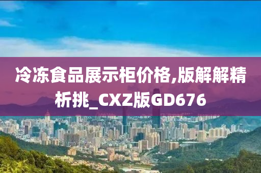 冷冻食品展示柜价格,版解解精析挑_CXZ版GD676