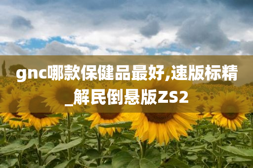 gnc哪款保健品最好,速版标精_解民倒悬版ZS2