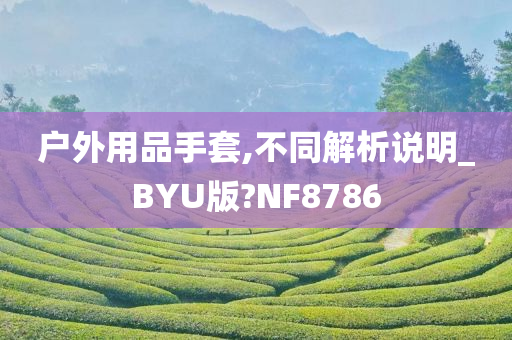 户外用品手套,不同解析说明_BYU版?NF8786