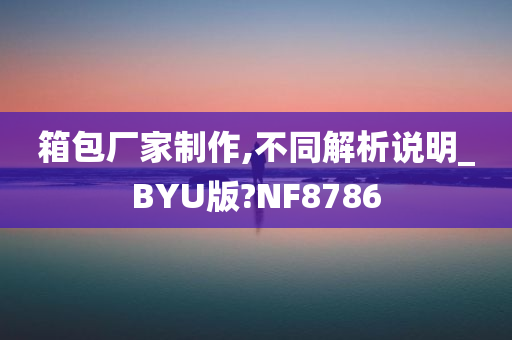 箱包厂家制作,不同解析说明_BYU版?NF8786