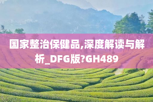 国家整治保健品,深度解读与解析_DFG版?GH489