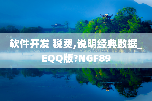 软件开发 税费,说明经典数据_EQQ版?NGF89